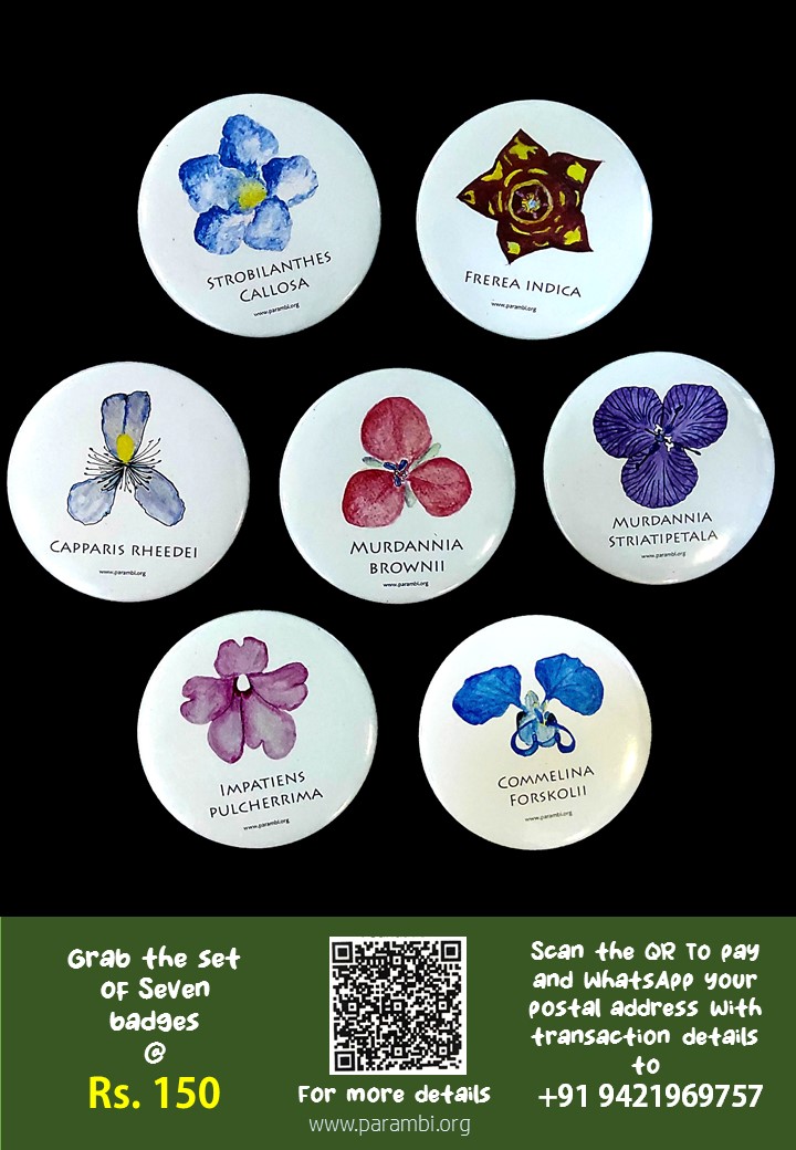 Flower Badges Parambi