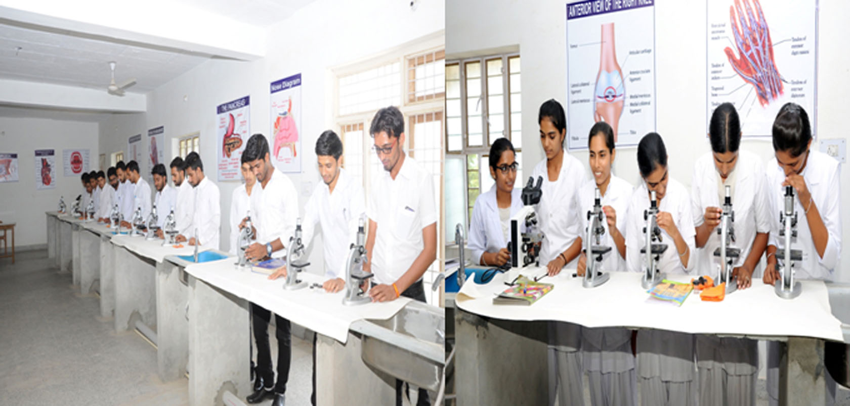 Home Bombay Paramedical Institute Hanumangarh