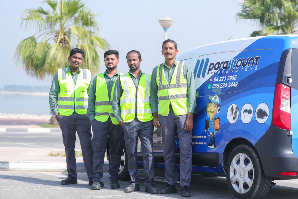 Best Pest Control Service in Dubai Dubai Municipality Approved