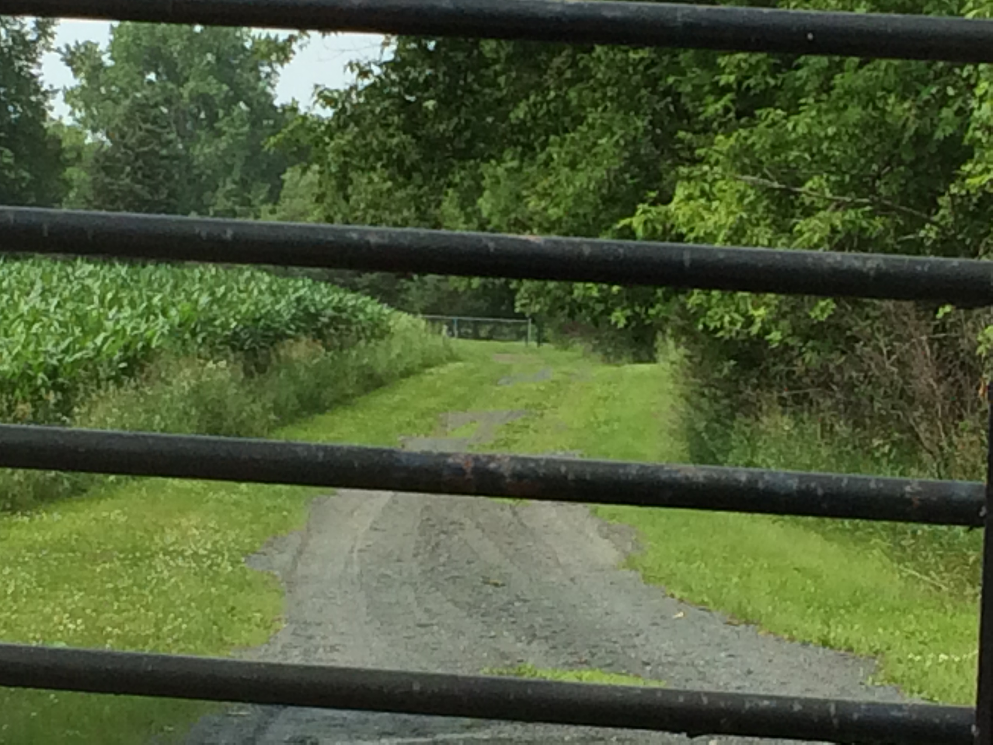 Grey Cloud Island Paranormal Art Project