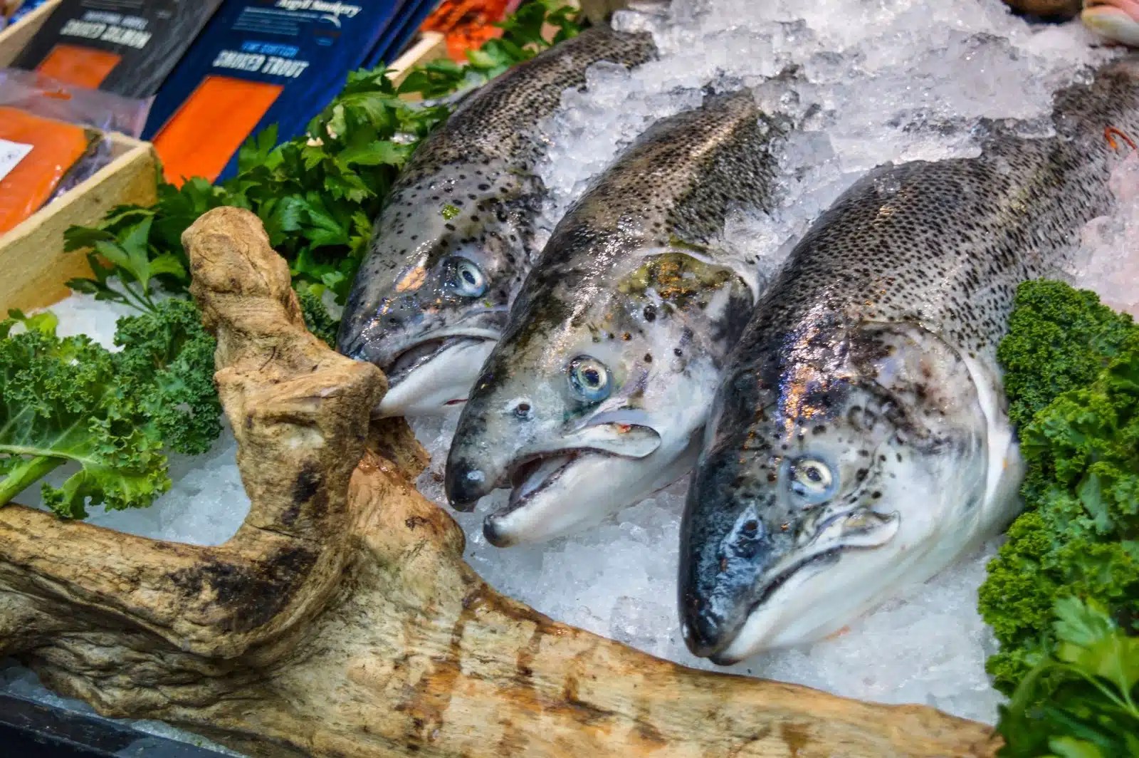 How to Ship Food USPS A Comprehensive Guide to Shipping Smarter Step