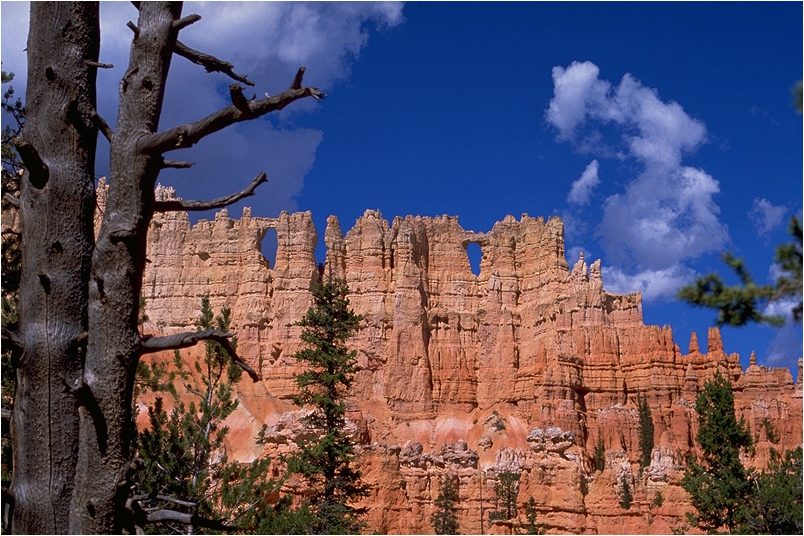 Bryce Canyon National Park Votre guide en français sur le parc