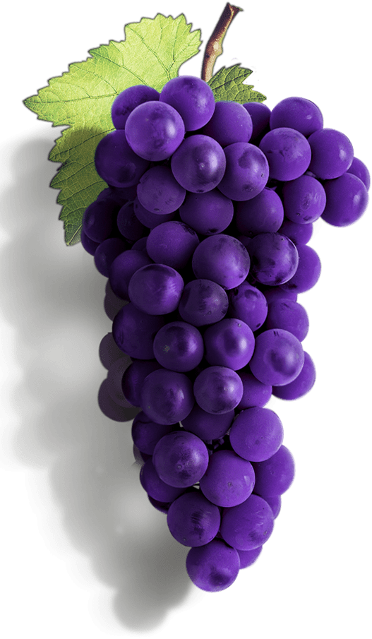 Order Grapes & Juices Pardo Wine Grapes