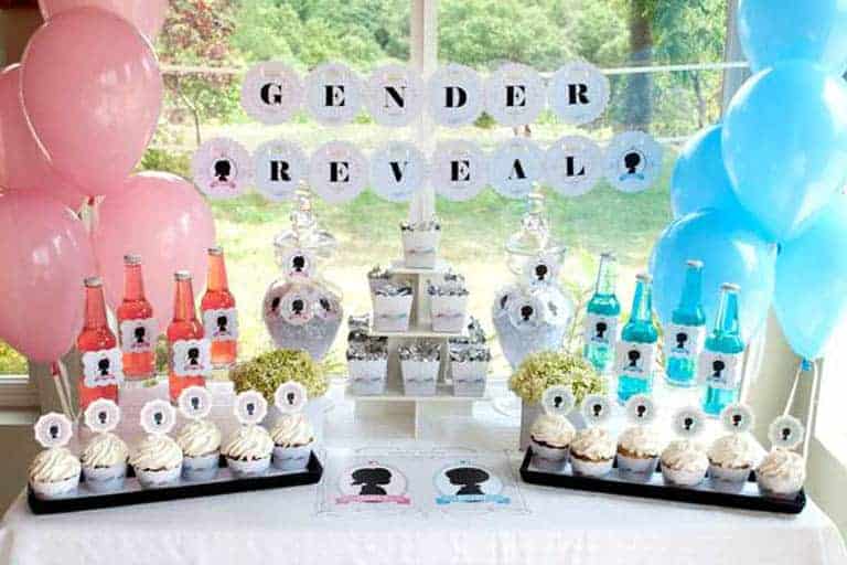 20 Of the Best Ideas for Gender Reveal Party Ideas for Family Home