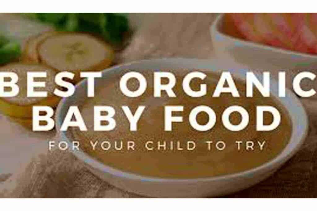 Best Organic Baby Food A Comprehensive Buyers' Guide And Reviews
