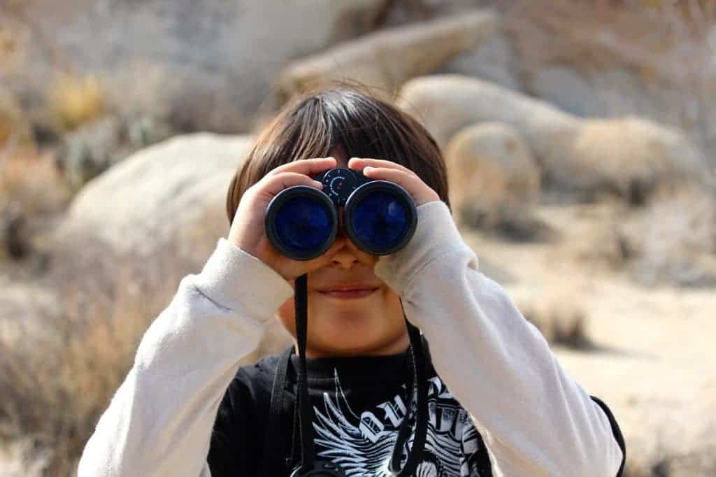 Best Binoculars For Kids Parent Guide