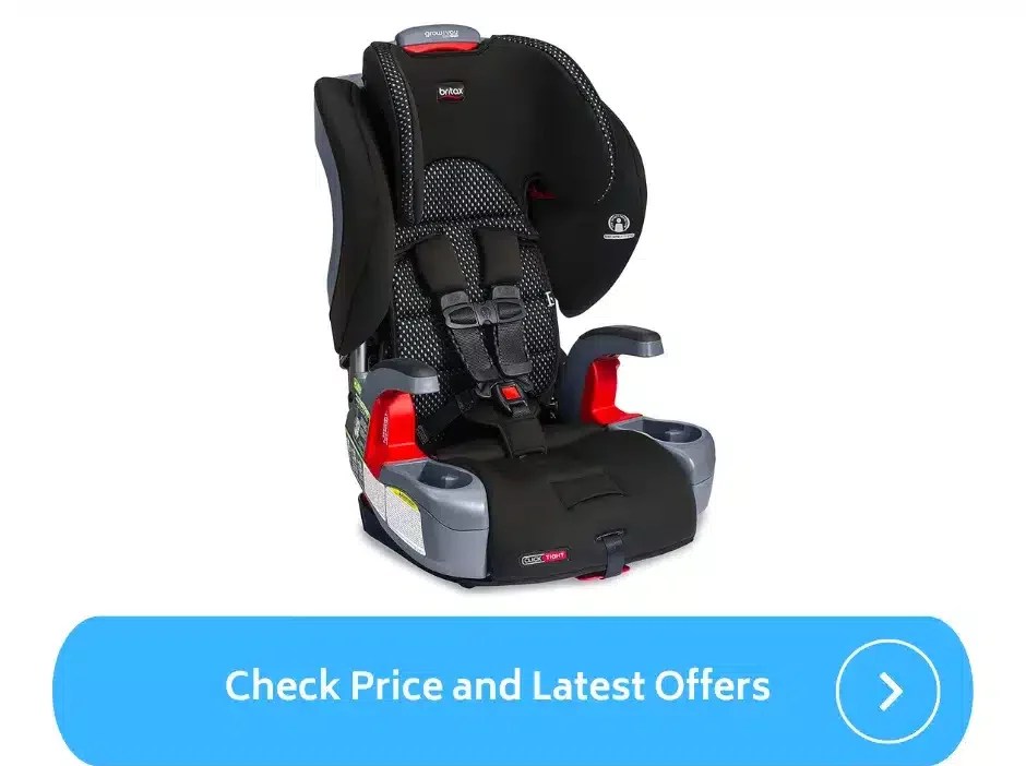 Best Travel Car Seat for 4 Year Old (2023) ParentalQueries