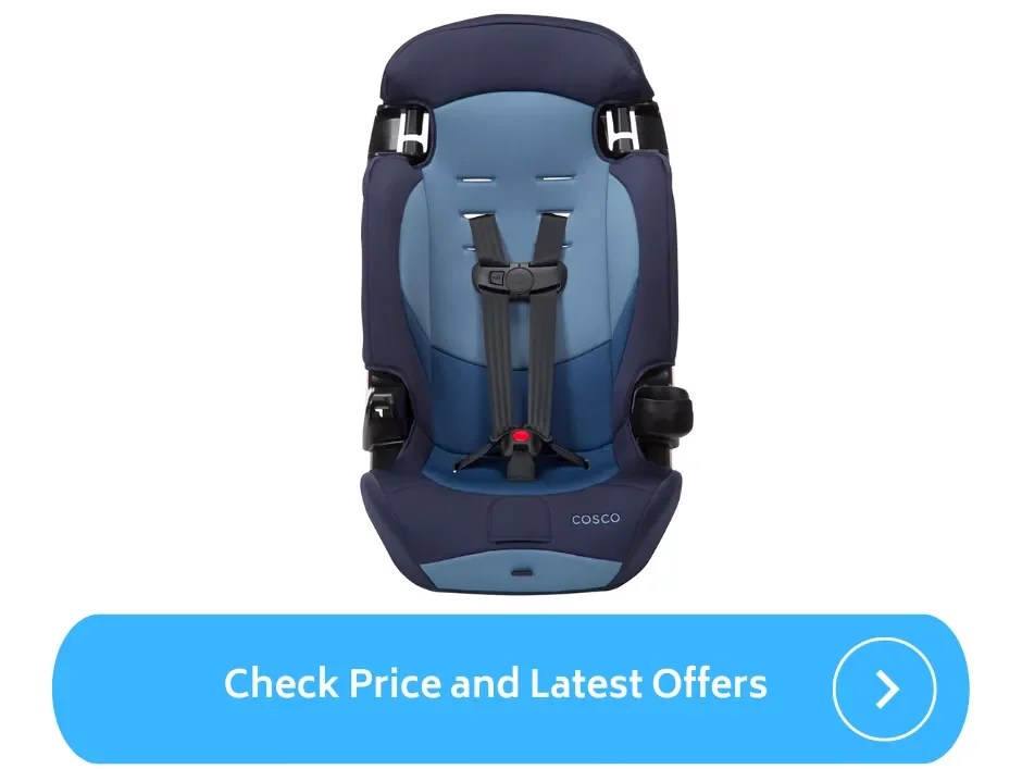 Best Travel Car Seat for 3 Year Old (2023) ParentalQueries