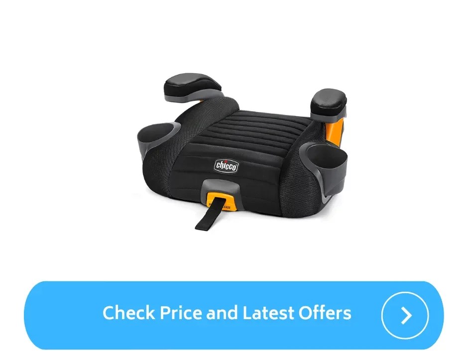 Best Backless Booster Seat for Travel (2023) ParentalQueries