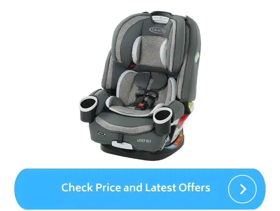 Best Travel Car Seat for 1 Year Old (2023) ParentalQueries