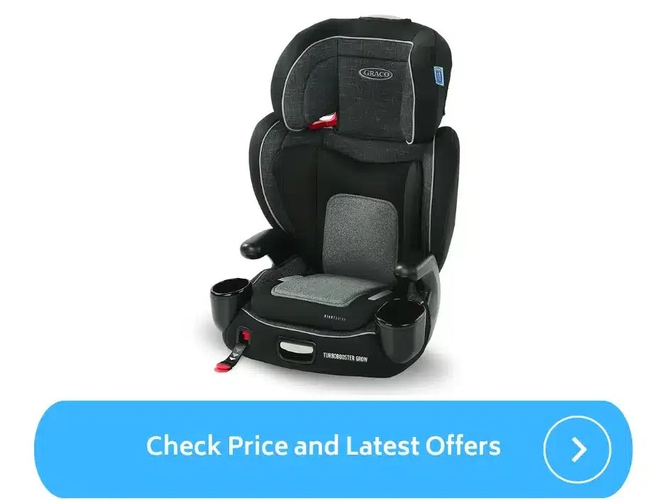 Best Travel Car Seat for 4 Year Old (2023) ParentalQueries