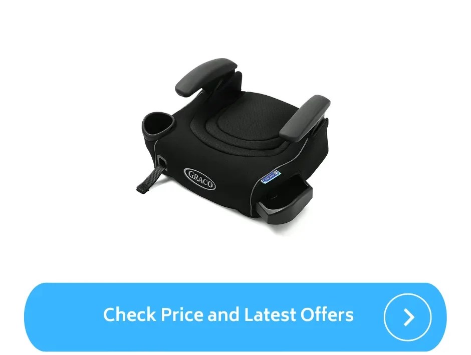 Best Backless Booster Seat for Travel (2023) ParentalQueries