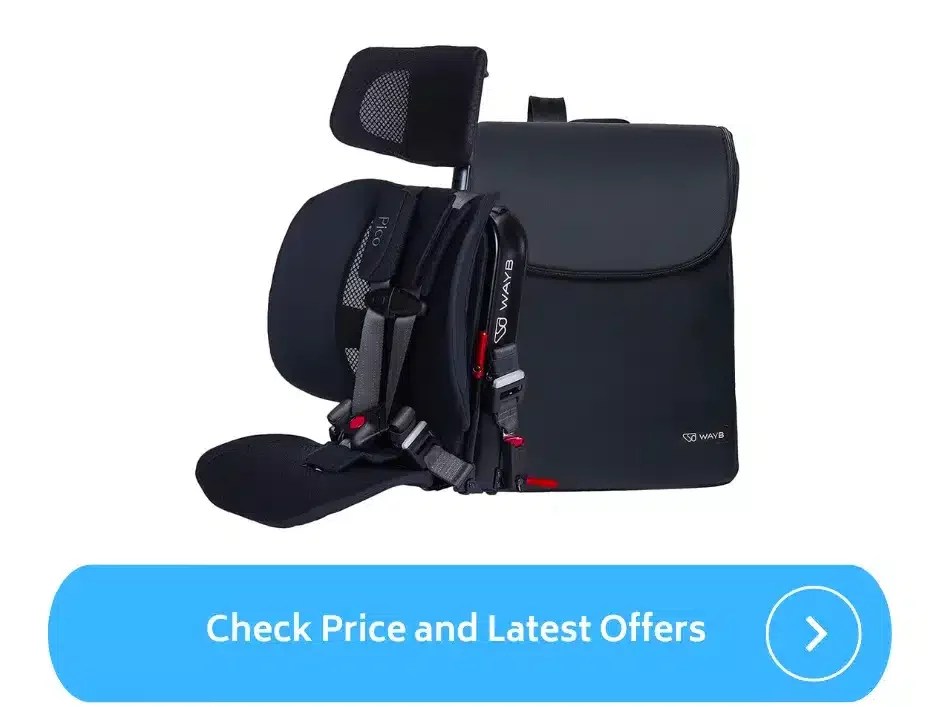 Best Travel Car Seat for 4 Year Old (2023) ParentalQueries