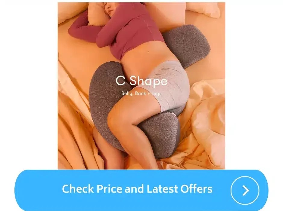 Best Pregnancy Pillow (2023) ParentalQueries