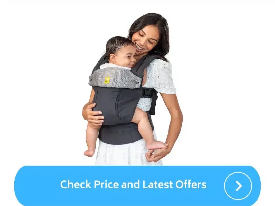 Best Baby Carrier for Back Pain (2023) ParentalQueries