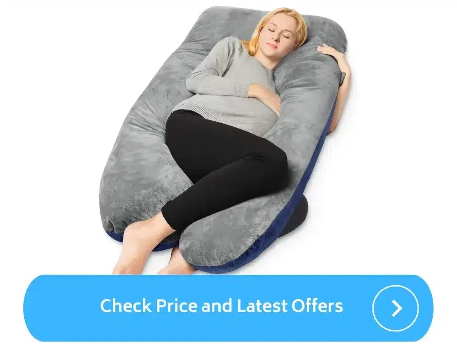 Best Pregnancy Pillow (2023) ParentalQueries