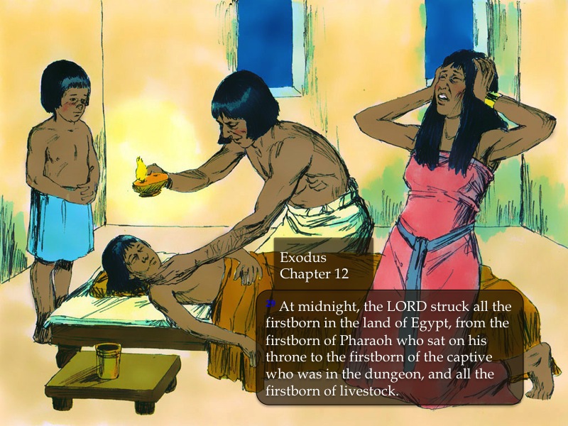 The Tenth Plague Death of Egyptian First Born PnC Bible Reading