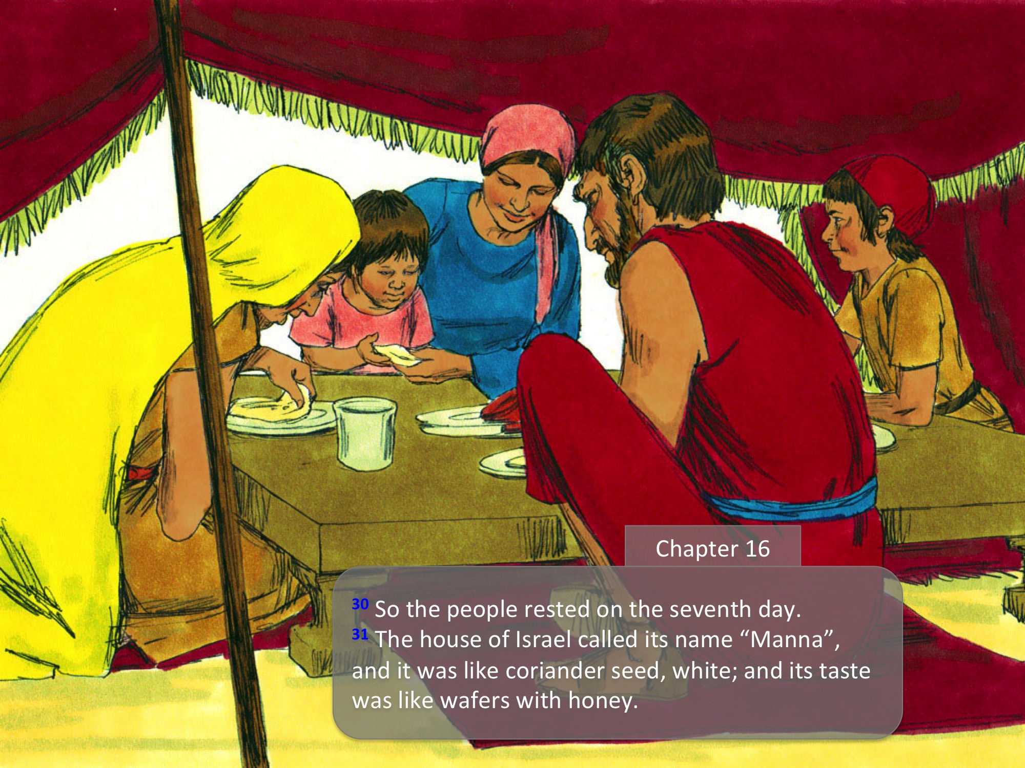 Heavenly Provision Manna & Quail Exodus 16