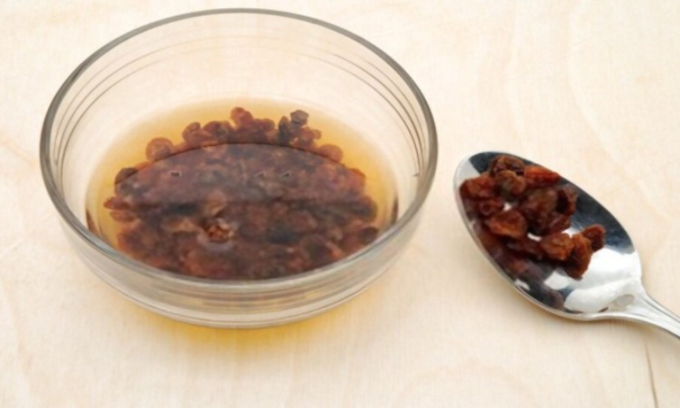 Raisins During Pregnancy Are They Safe? Mini Klub Parenting