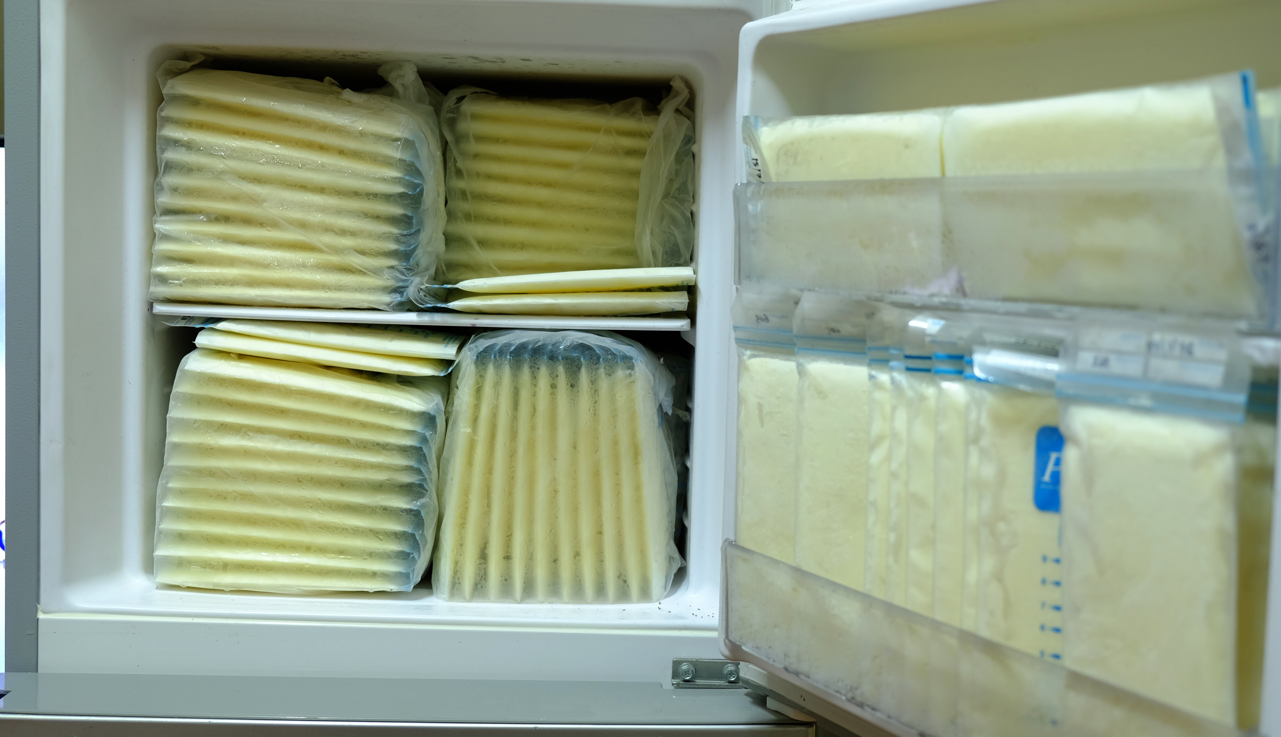 Frozen breast milk in storage bags for baby in refrigerator Parenting Hub