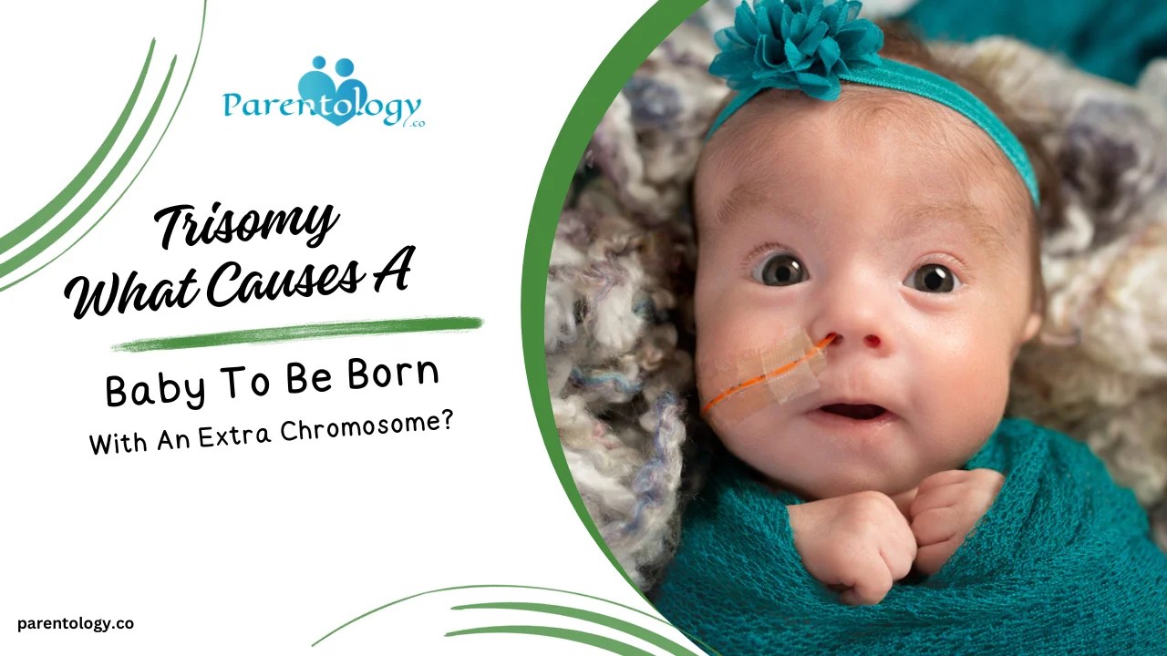 Trisomy Understanding the Causes of an Extra Chromosome
