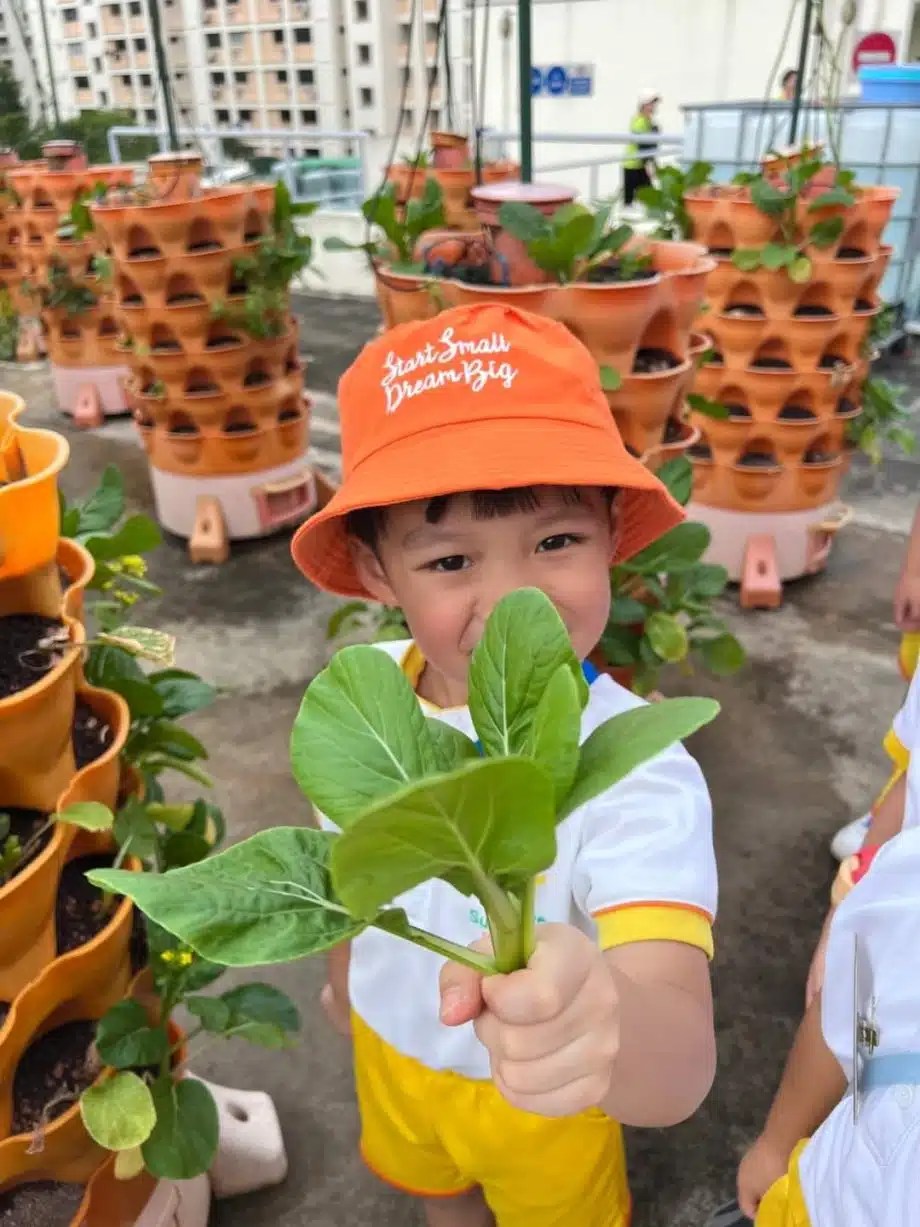 Sunflower Preschool “Best in Multiple Intelligence Approach