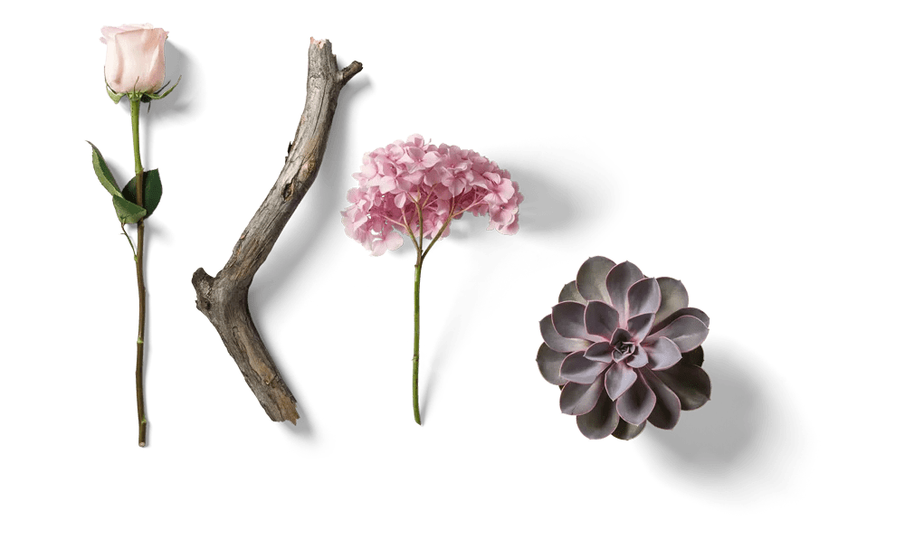 Best Flower Shop in Tarlac Flower Delivery Parfumella Flowers