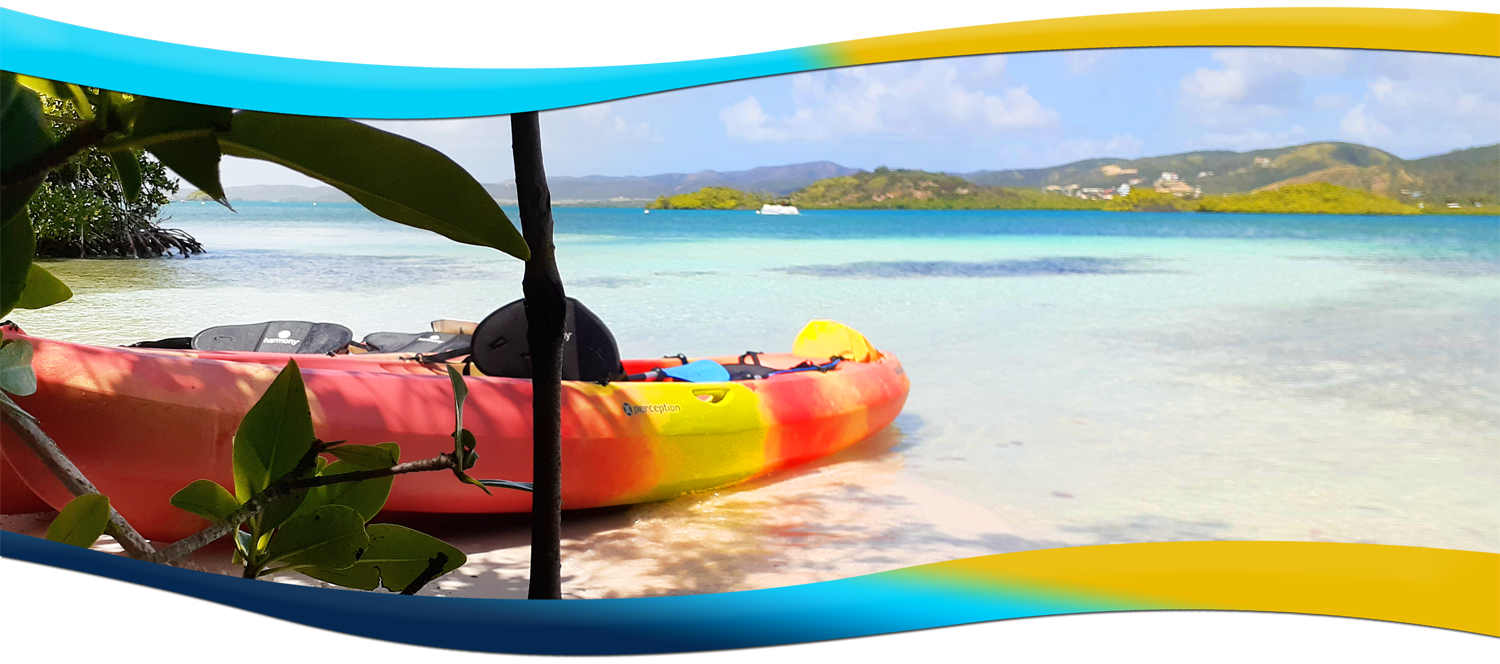 Parguera Bio Bay Swimming Experience