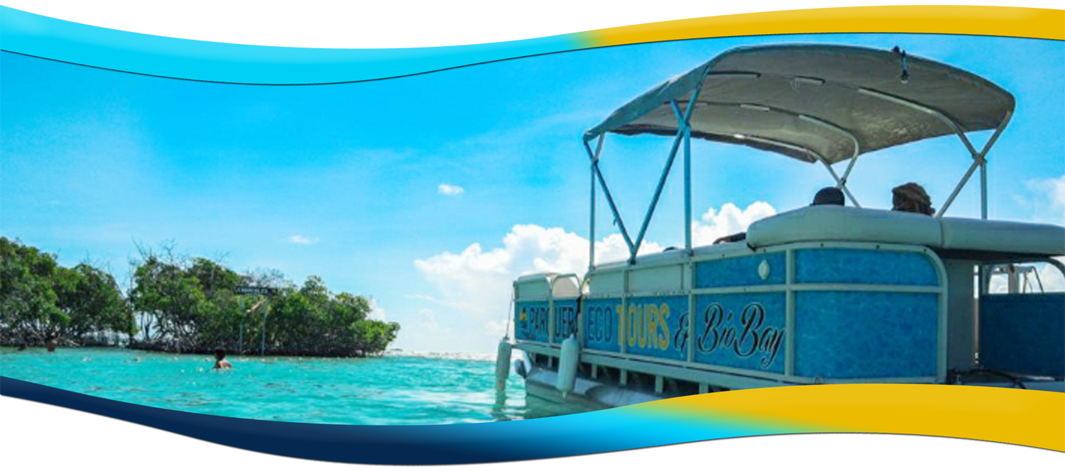 Parguera Eco Tours & Bio Bay