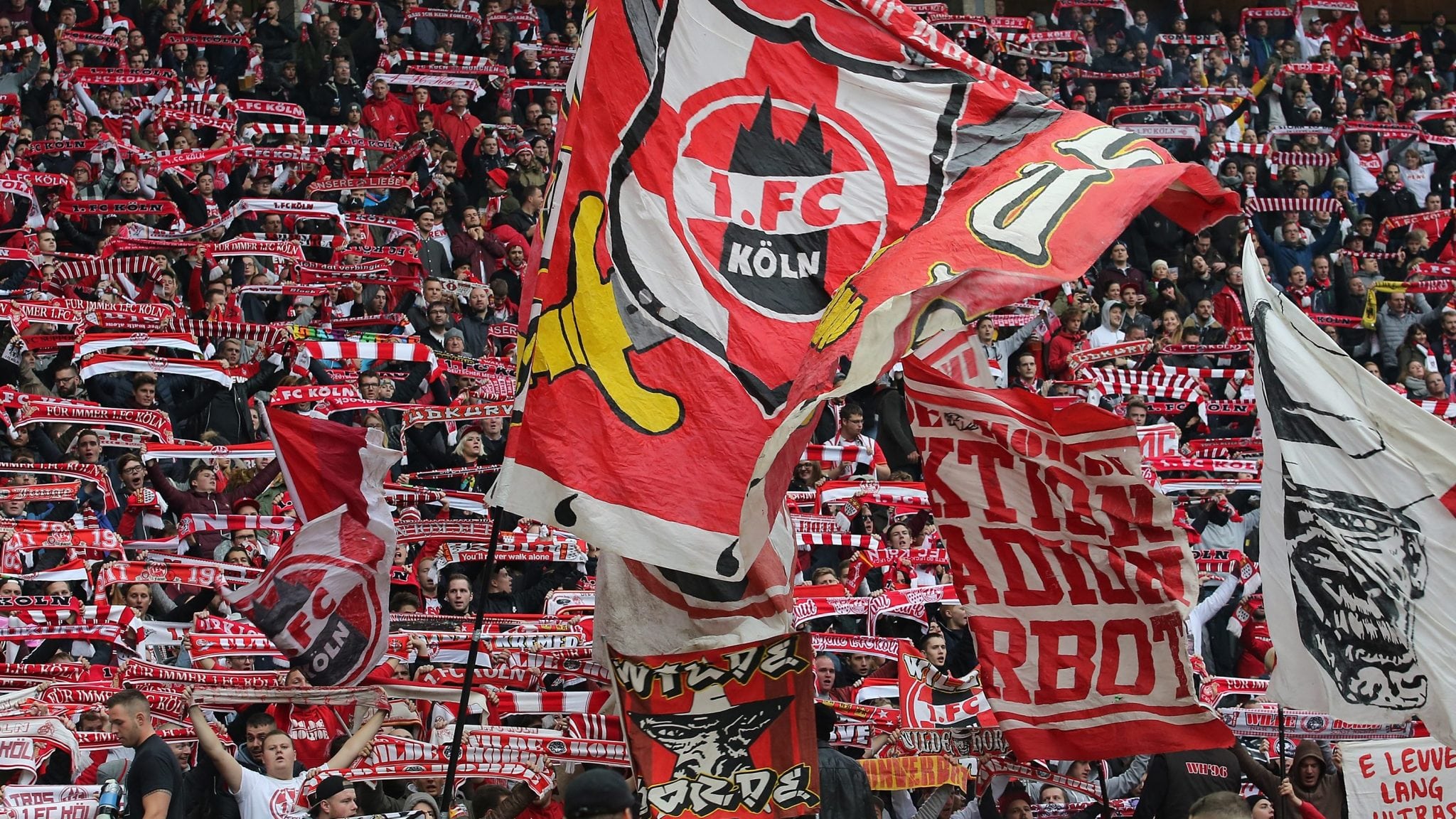 FC Koln Union Berlin Optiunea "scor corect oricand in meci" ne poate