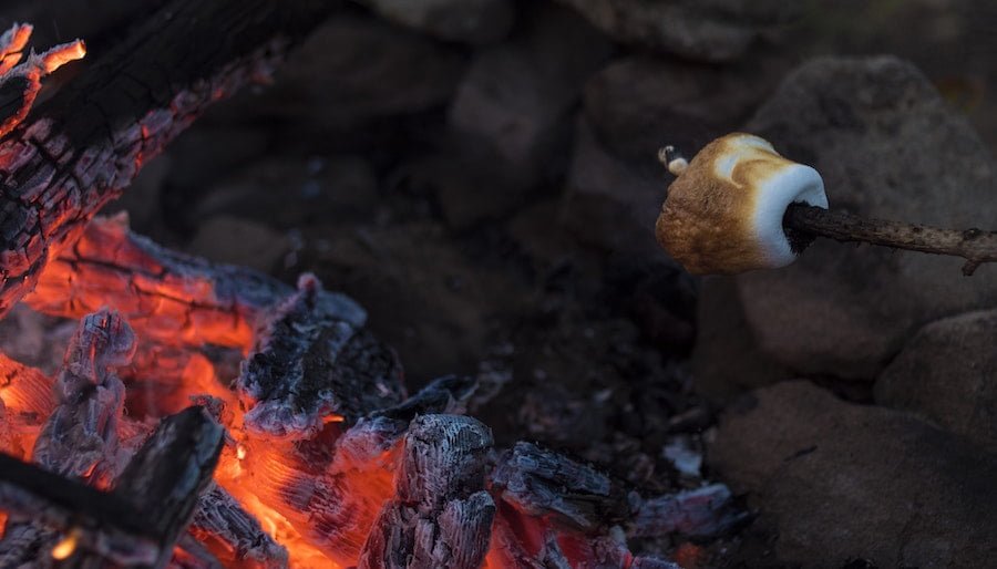 How Can Humans Help Prevent Forest Fires?