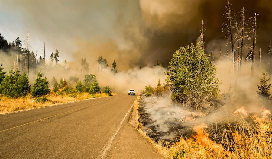Driving Through Forest Fire Ravaged Region How to Stay Safe