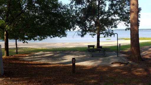 Cotton Hill Campground Fort Gaines, US ParkAdvisor