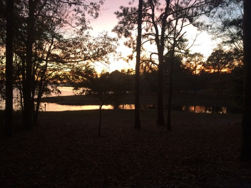 Cotton Hill Campground Fort Gaines, US ParkAdvisor