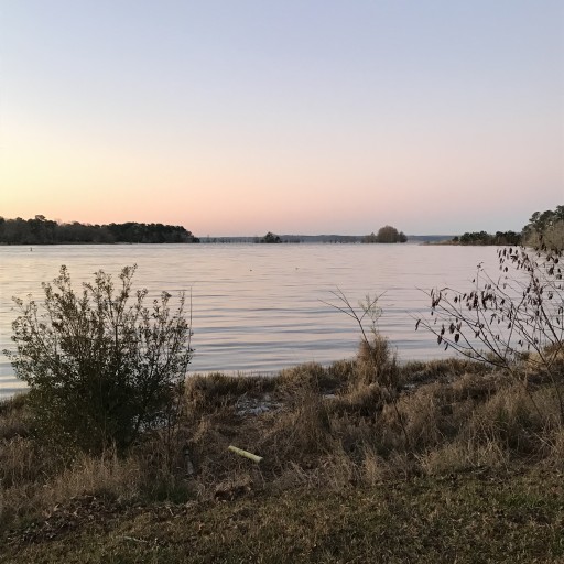 Cotton Hill Campground Fort Gaines, US ParkAdvisor