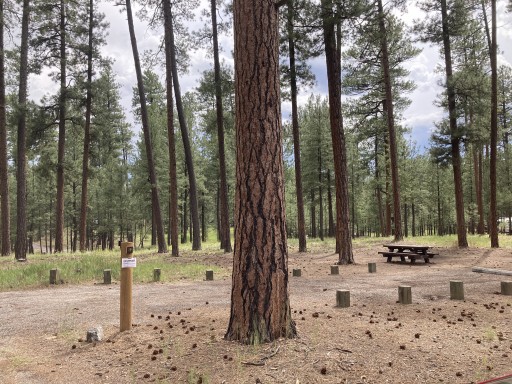 Jemez Falls Campground Jemez Springs, New Mexico US ParkAdvisor