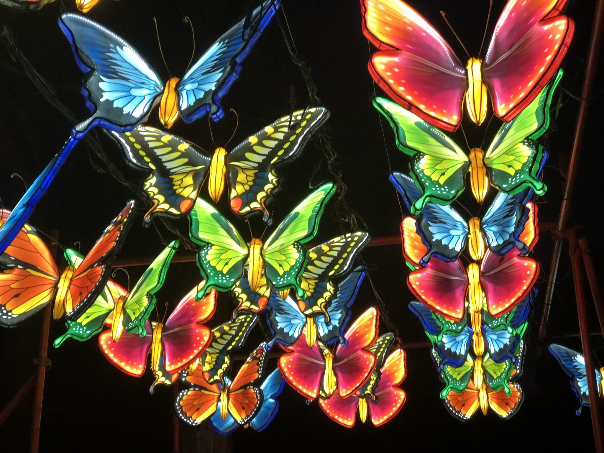 Florida's Asian Lantern Festival 2021. It is back! A true sight to see