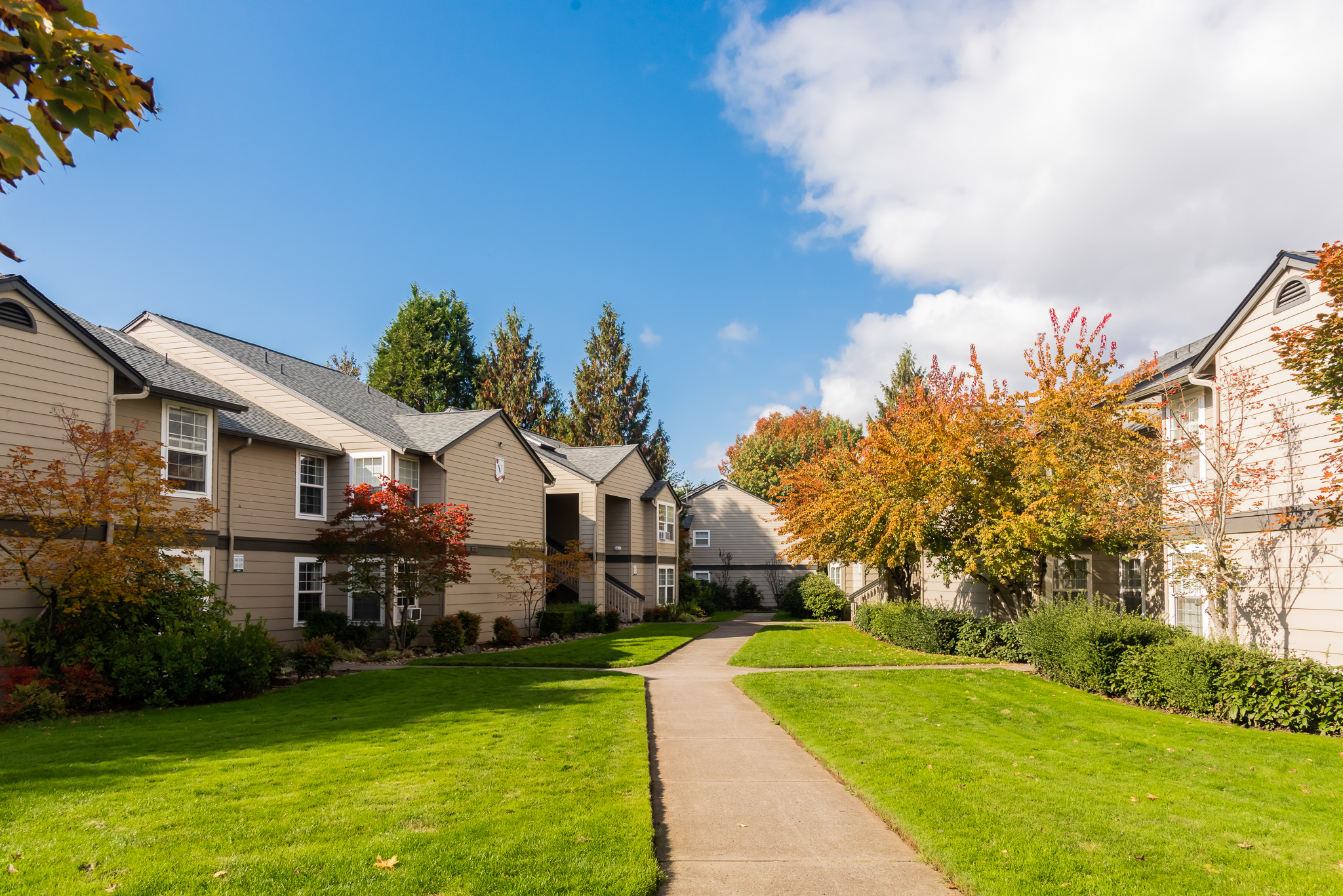 Gallery & Blog Park Crest Commons