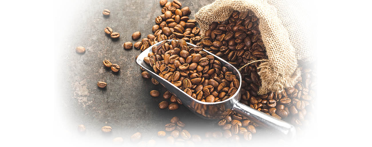 Sustainably Sourced Coffee Parker's Kitchen