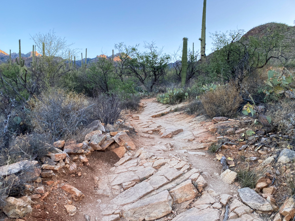 Blackett's Ridge Trail at Sabino Canyon Recreation Area Review ParkFlo