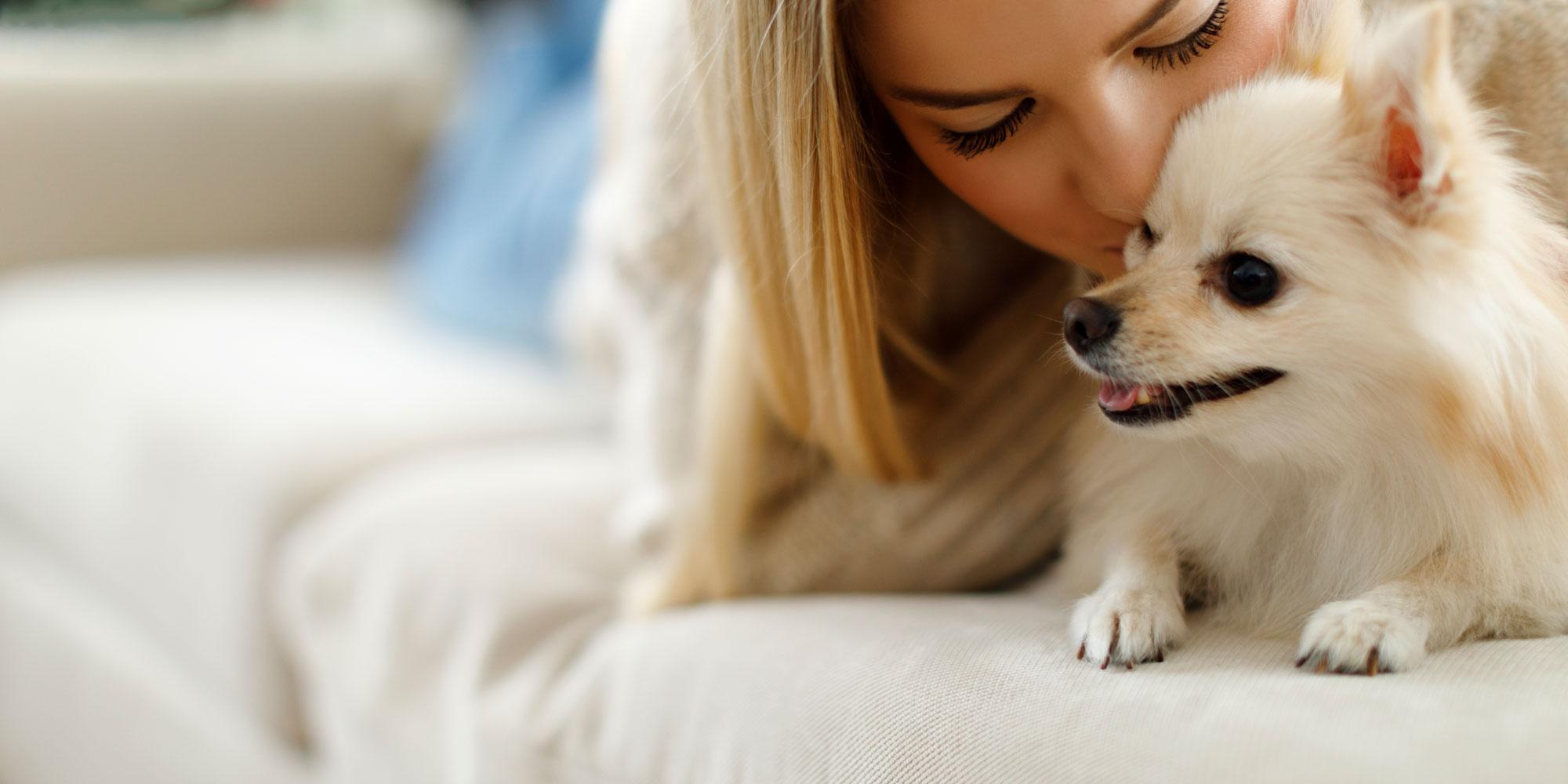 Pet Hospital in North Vancouver Park Gate Animal & bird Hospital