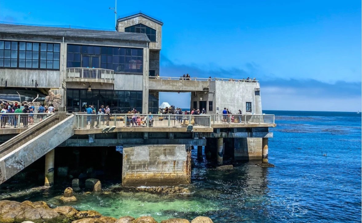Monterey Bay Aquarium Parking Best Tips for Your Visit 2022