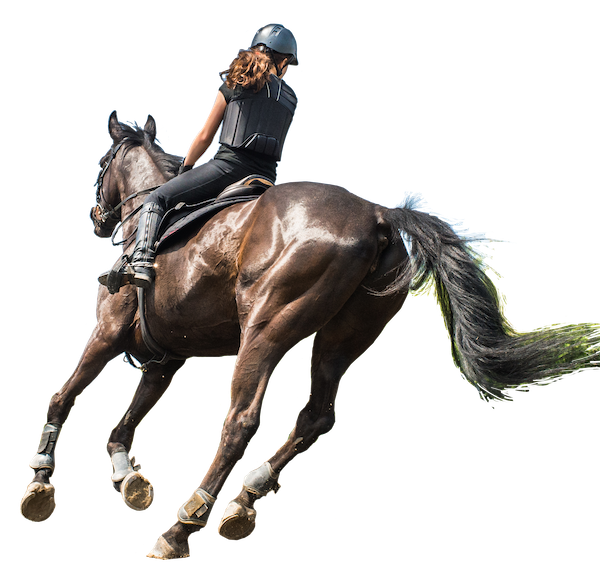 Parkland Equestrian Centre