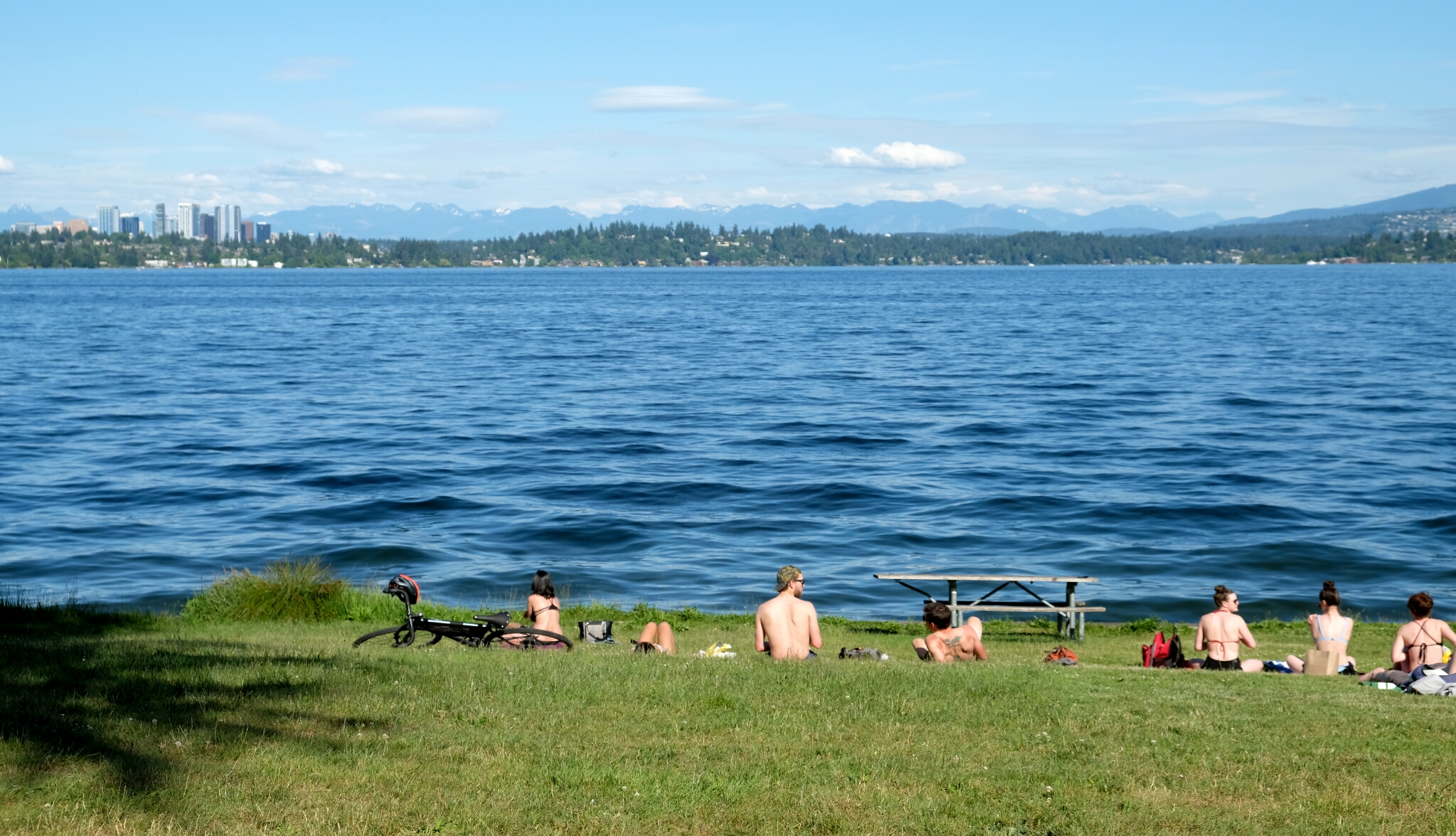 Madrona Park in Seattle Park Preview