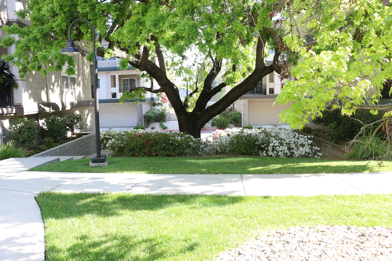 Park River Oak Estates Homeowners Association