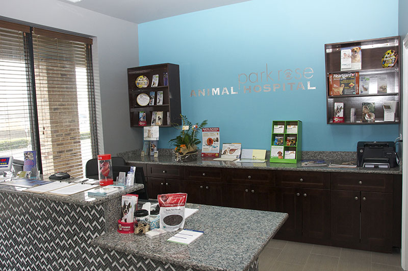 Veterinary Specials in Roselle, IL Park Rose Animal Hospital