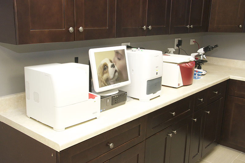 Pet Health Guidance Park Rose Animal Hospital