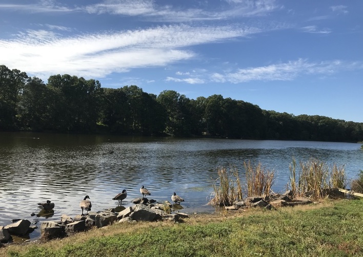 VA Woodglen Lake [3909] PRA Nature Prescribed