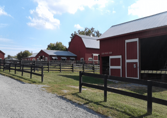 VA Frying Pan Farm Park [3878] PRA Nature Prescribed