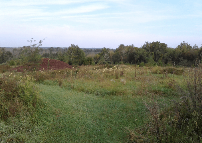 VA Gilbert's Corner Regional Park [3650] PRA Nature Prescribed